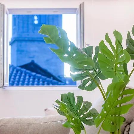 Atia Catedral Apartment